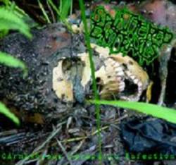 Carnivorous Parasitic Infection